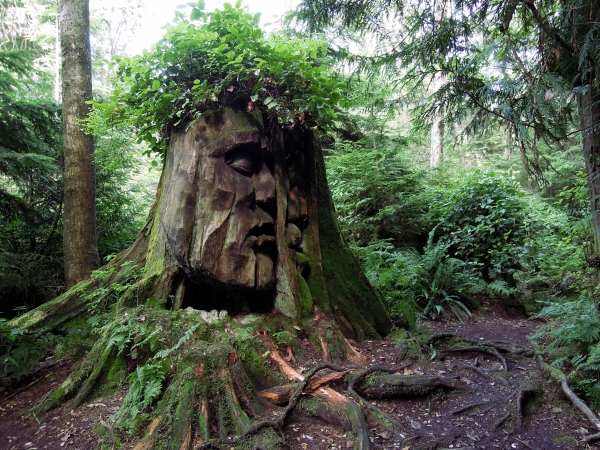 Tsawwassen - Vancouver _