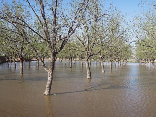 Hueco Tanks - Las Cruces