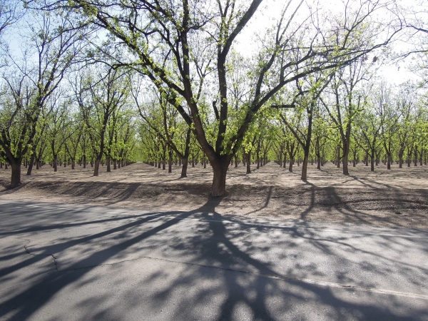 Hueco Tanks - Las Cruces